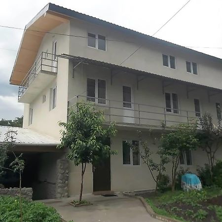 Hotel Nini Stepantsminda Exterior foto